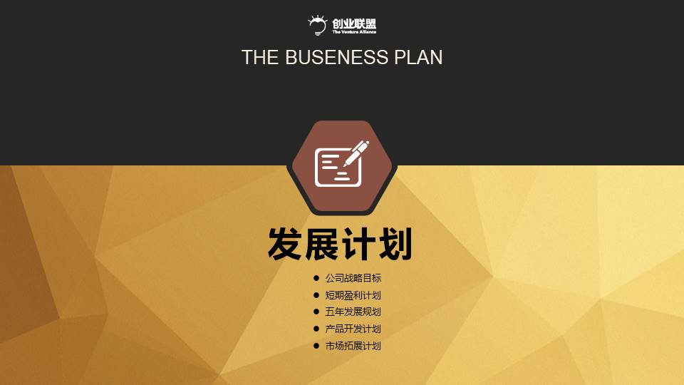 项目策划 (46).pptx